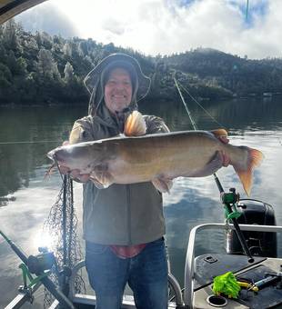 Catch big whisker fish at Clearlake!